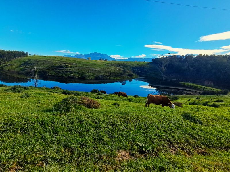 Scenic landscape view featuring a tranquil farm dam surrounded by lush green grazing pastures and distant mountain ranges.