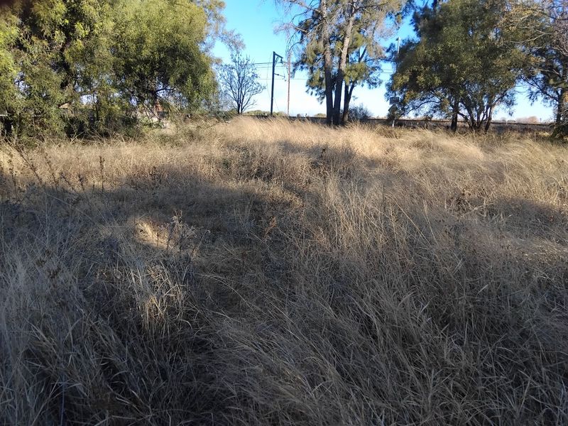 Prime Investment Opportunity – Large Serviced Stand - Photo 9
