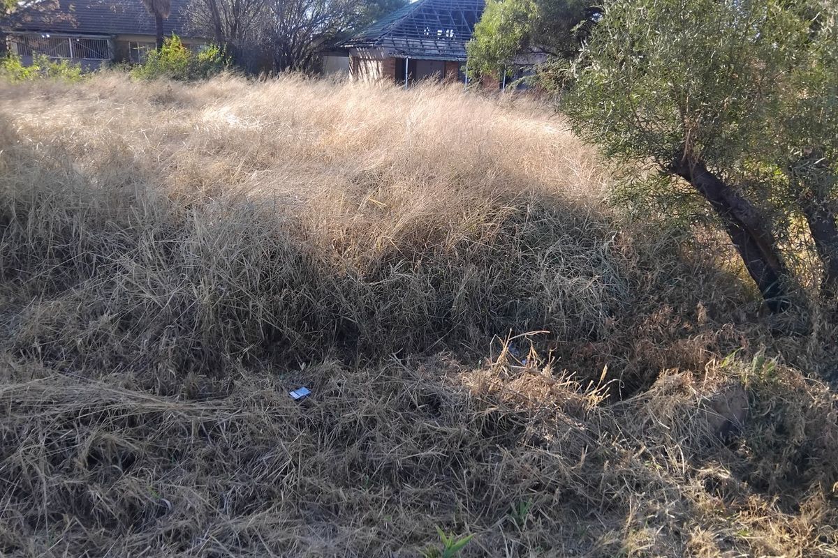 A view of an overgrown residential plot featuring dry, tall grass and mature trees, requiring significant clearing and landscaping.