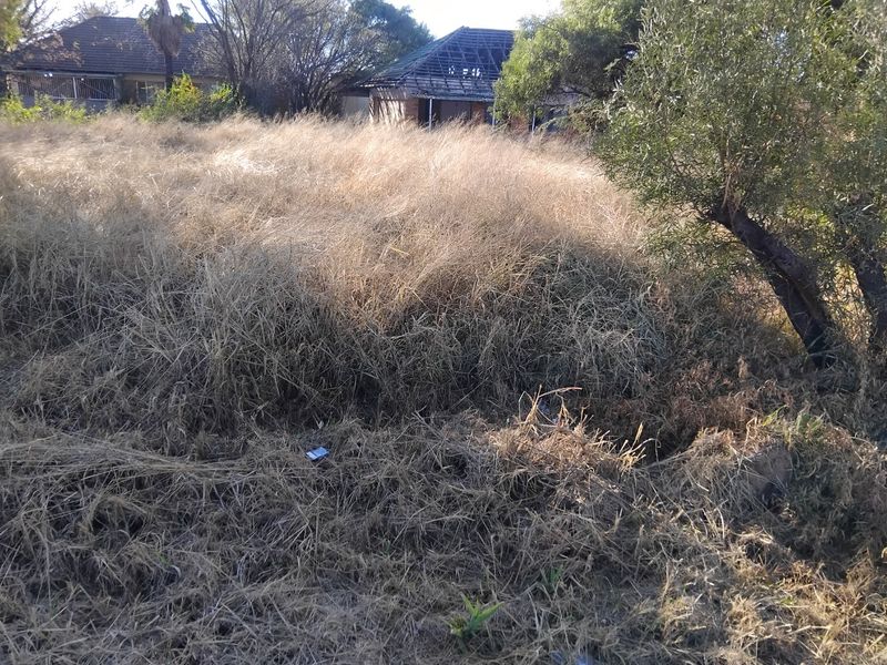 Prime Investment Opportunity – Large Serviced Stand - Photo 5