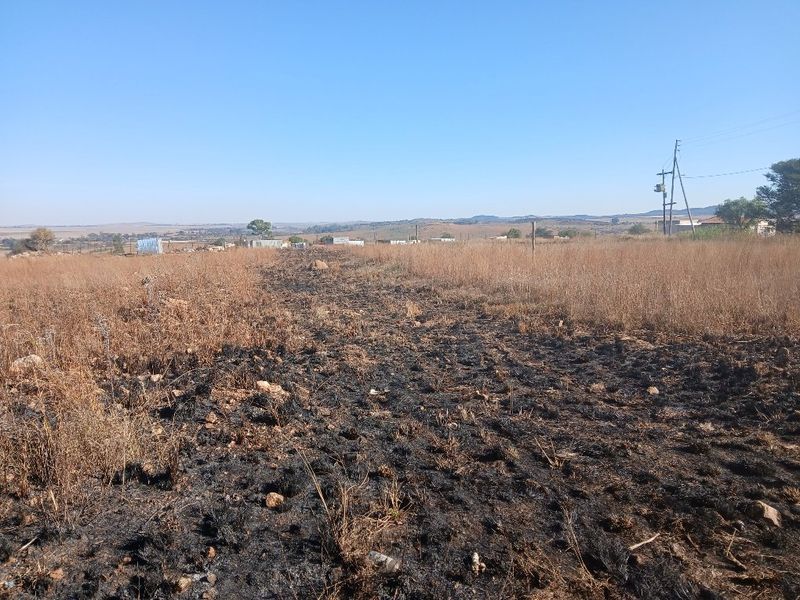 A view of a vacant residential plot featuring dry vegetation and signs of recent ground scorching, with a utility pole visible in the distance.