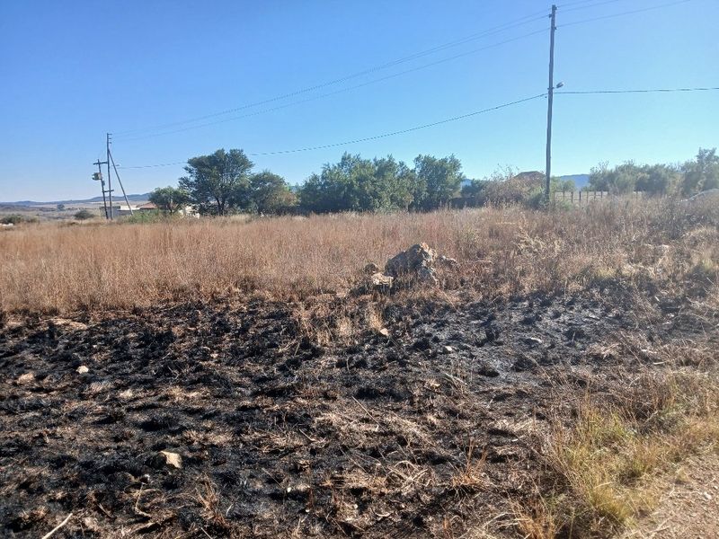 A view of a vacant residential plot featuring dry grass and signs of recent fire damage, with utility poles and power lines visible.