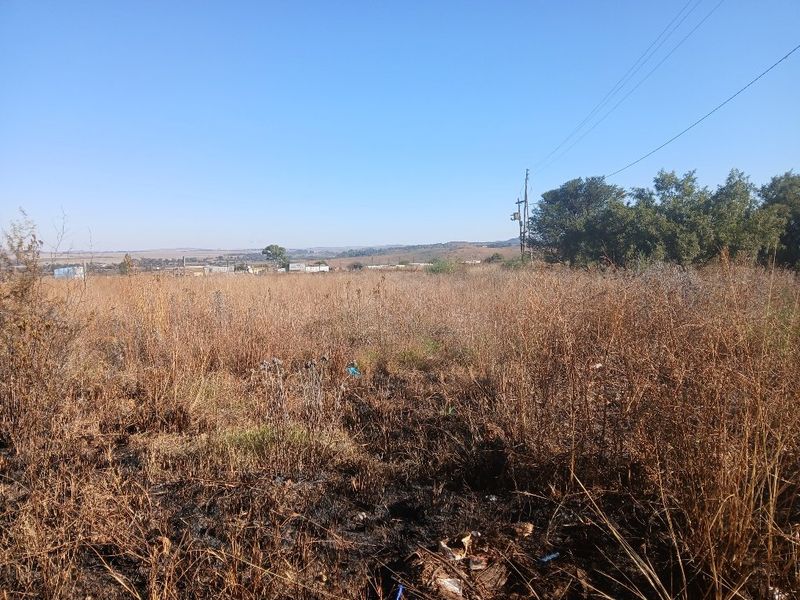 A view of a vacant residential plot featuring dry vegetation, a utility pole, and overhead power lines against a clear blue sky.