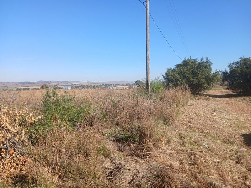 A view of a vacant residential plot featuring dry grass, native vegetation, and an existing utility pole with overhead power lines.