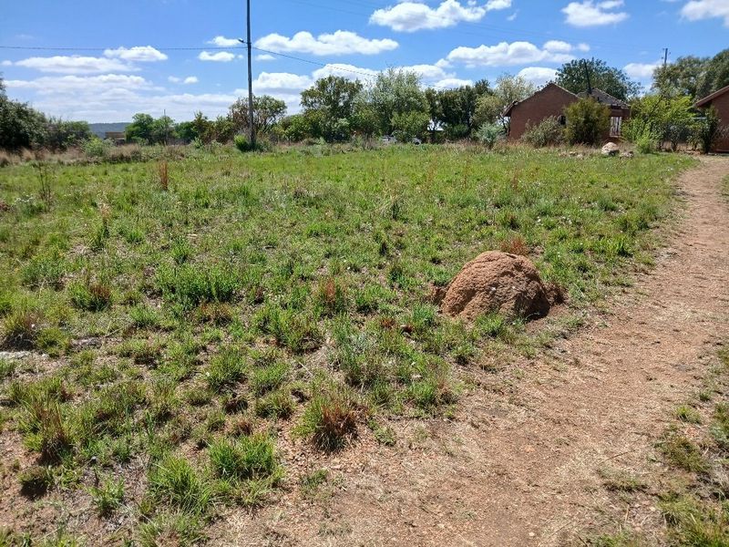A view of a vacant residential plot featuring natural grass cover, a utility pole, and a dirt path leading into the property.