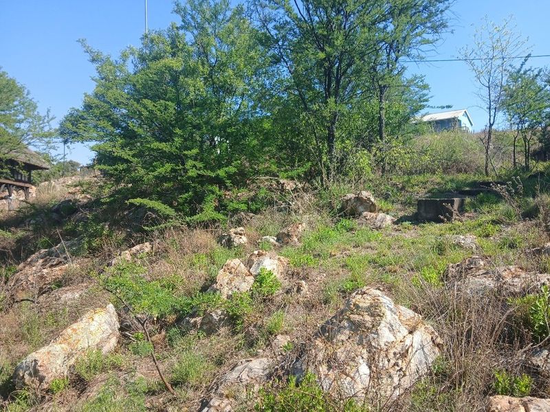 A view of the natural, rocky landscape and indigenous trees on the residential vacant land plot.