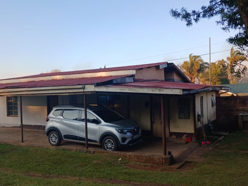 Rear view of the property featuring a covered patio area, corrugated metal roofing, and an external masonry sink set within a garden space.