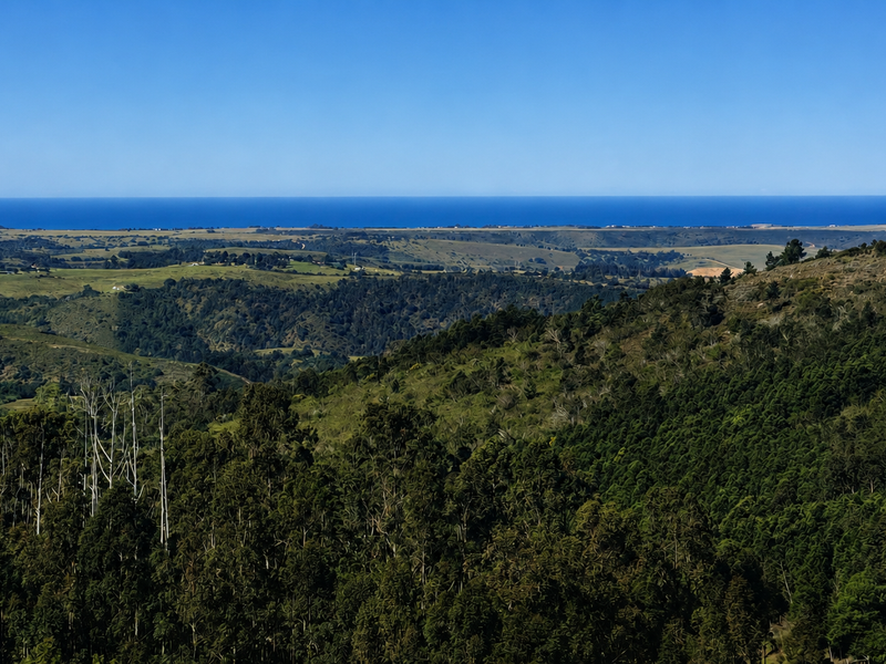 Expansive panoramic landscape view overlooking rolling hills and forest terrain with a clear horizon line of the ocean in the distance.