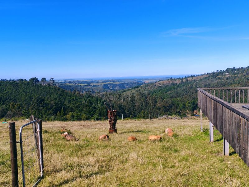 Expansive landscape view overlooking rolling hills and forest, featuring a raised wooden deck and perimeter fencing on the farm property.