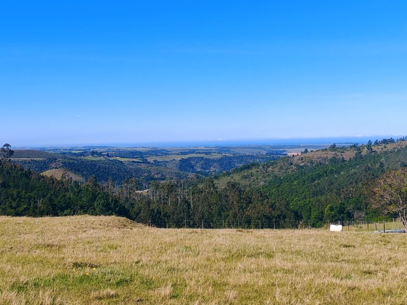 Expansive panoramic landscape view overlooking rolling hills, lush forest, and open farmland under a clear blue sky.