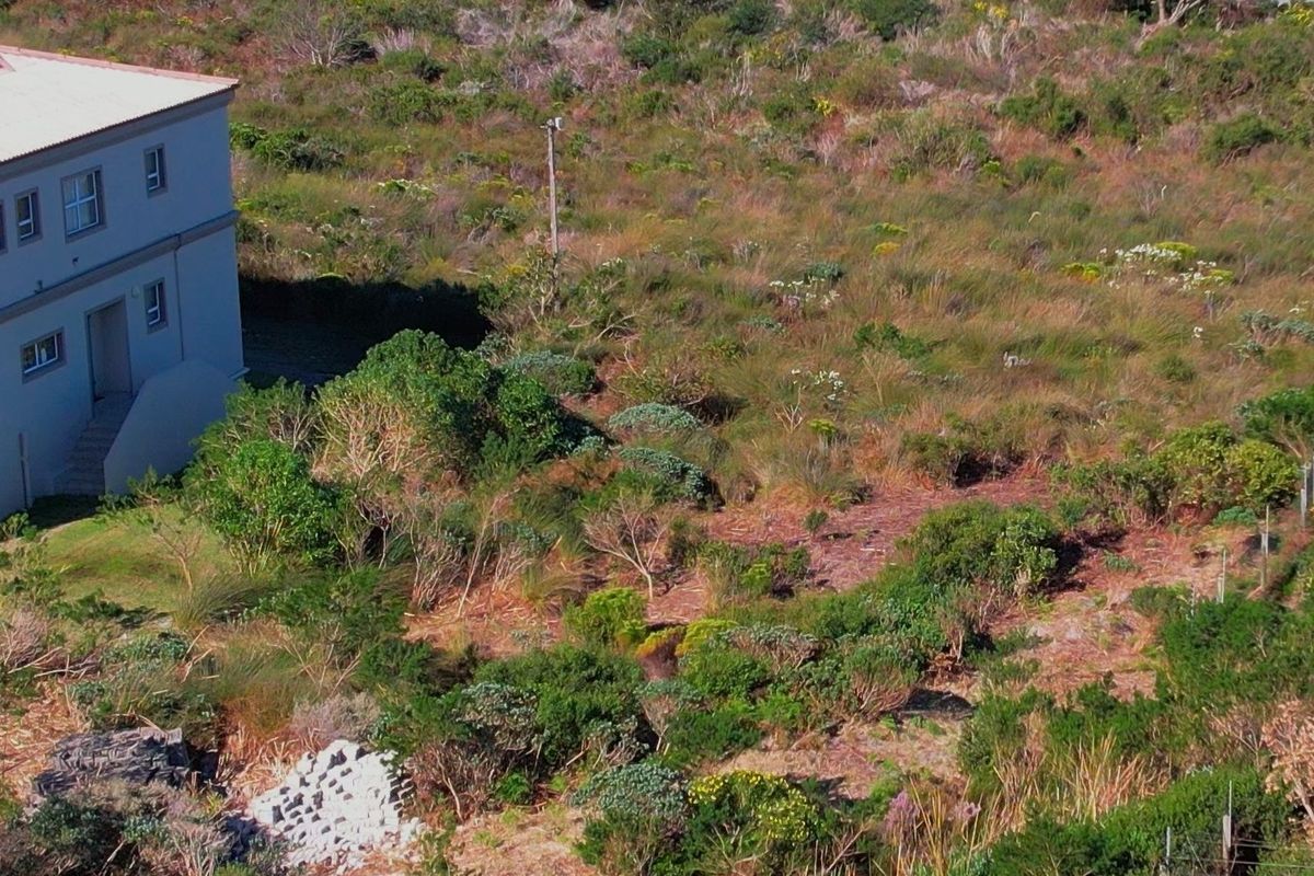 An aerial view of a vacant residential plot featuring natural vegetation and an adjacent building structure.