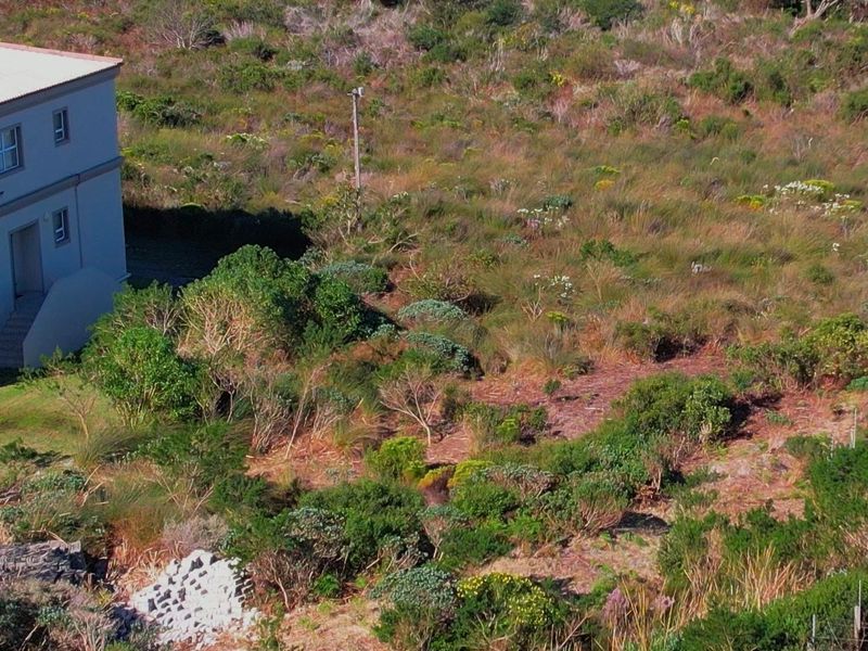 An aerial view of a vacant residential plot featuring natural vegetation and an adjacent building structure.