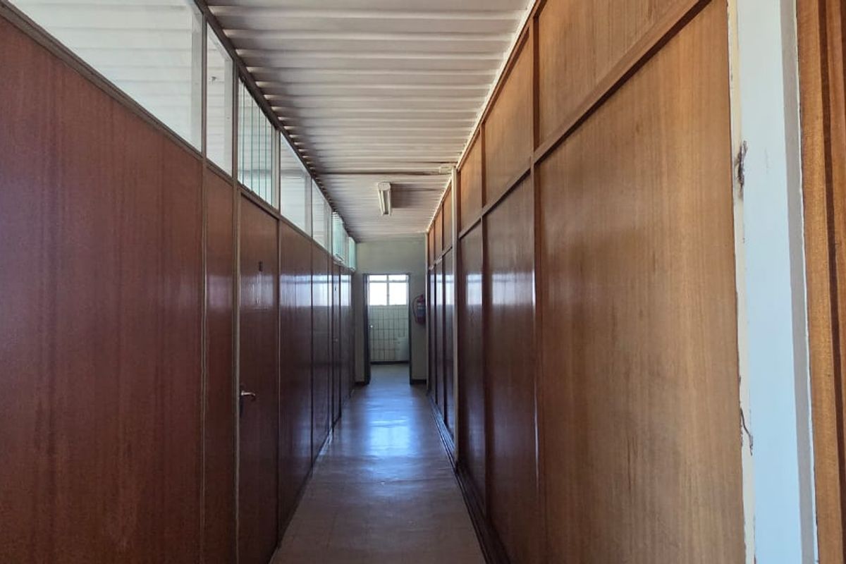 A commercial hallway featuring timber veneer partition walls with glass transom panels and fluorescent lighting, providing access to multiple office spaces.