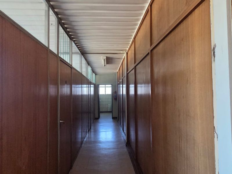 A commercial hallway featuring timber veneer partition walls with glass transom panels and fluorescent lighting, providing access to multiple office spaces.