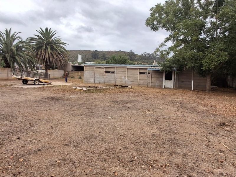 A Smart Investment with Immediate Value – Vacant Land Plus Storage - Photo 8