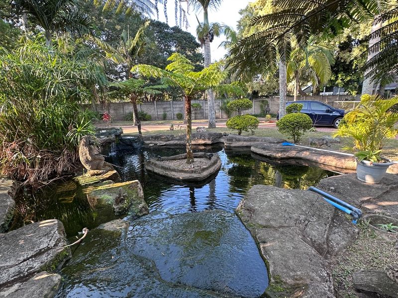 A tranquil garden setting featuring a naturalistic rock-lined pond and water feature surrounded by mature trees and established landscaping.