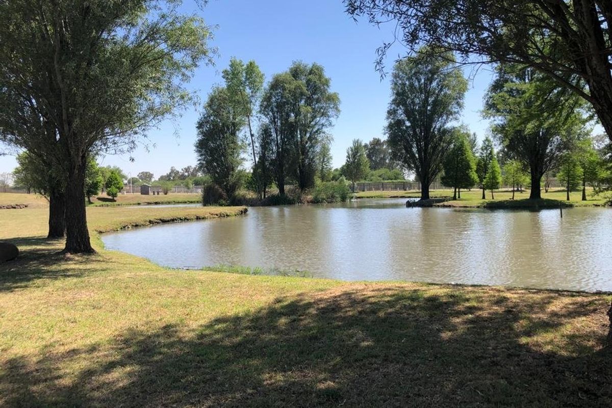 A scenic view of a natural pond surrounded by mature trees and well-maintained lawn areas on the residential property.