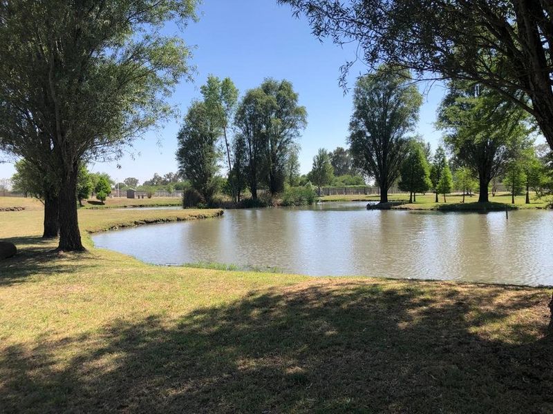A scenic view of a natural pond surrounded by mature trees and well-maintained lawn areas on the residential property.