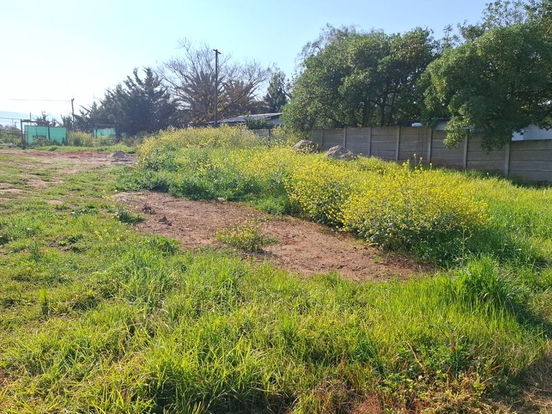 A view of the vacant residential land featuring natural grass, wildflowers, and a precast concrete boundary wall.