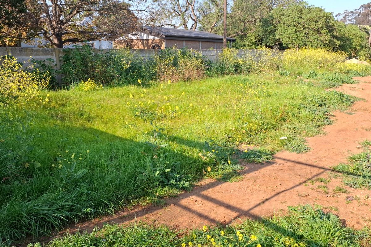 A vacant residential plot featuring an unpaved driveway and perimeter wall, currently covered in overgrown grass and wild vegetation.