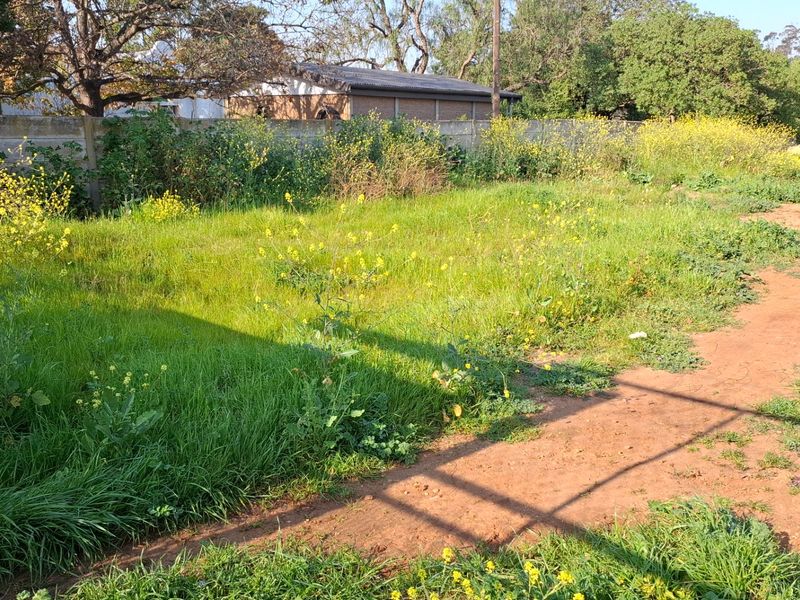 A vacant residential plot featuring an unpaved driveway and perimeter wall, currently covered in overgrown grass and wild vegetation.