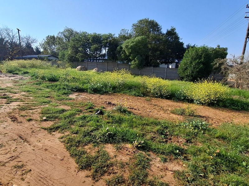 A view of a vacant residential plot featuring natural vegetation, a precast concrete boundary wall, and an existing utility pole.