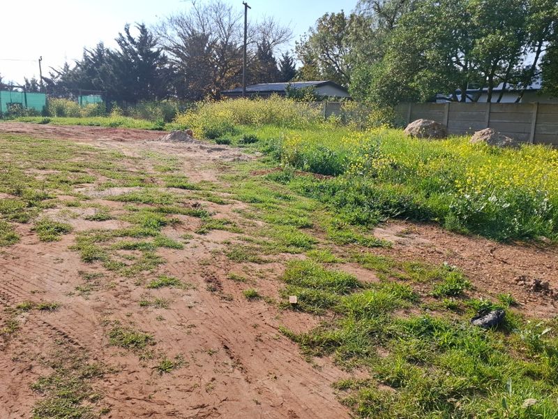 A view of a vacant residential plot featuring natural grass, wild vegetation, and a precast concrete boundary wall at the rear.