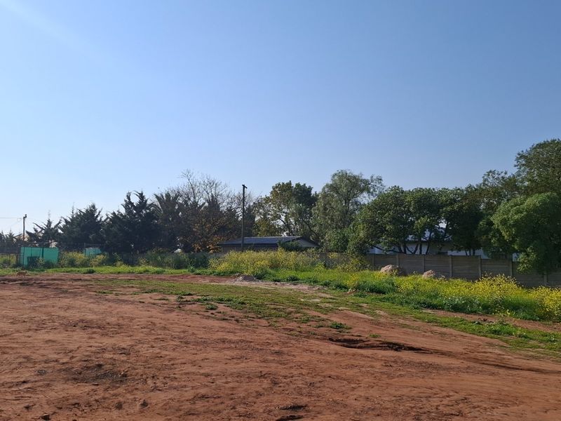 A vacant residential plot featuring natural ground, mature trees, and a precast concrete boundary wall.