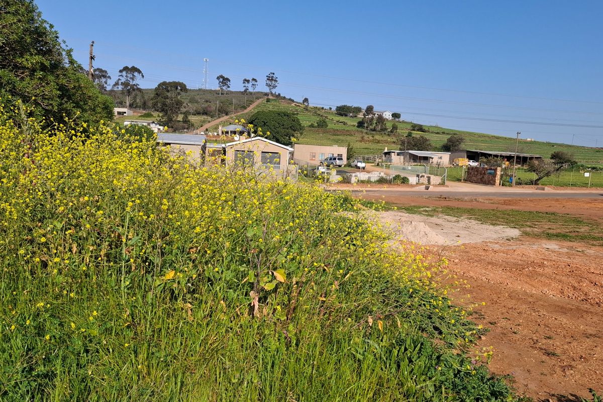 A view of a vacant residential plot featuring natural vegetation and surrounding rural landscape.