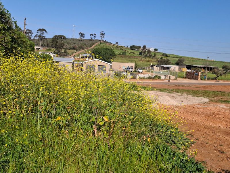 A view of a vacant residential plot featuring natural vegetation and surrounding rural landscape.