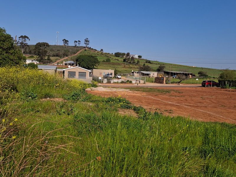 A vacant residential plot featuring natural vegetation and open land, offering a clear view of the surrounding neighborhood and hillside landscape.