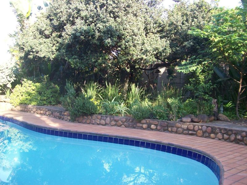 A private swimming pool area featuring a curved tiled edge, stone retaining wall, and established garden landscaping.