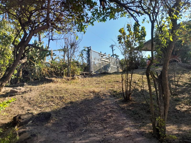 A sloped garden area featuring mature trees, natural landscaping, and a metal access gate leading to the property boundary.