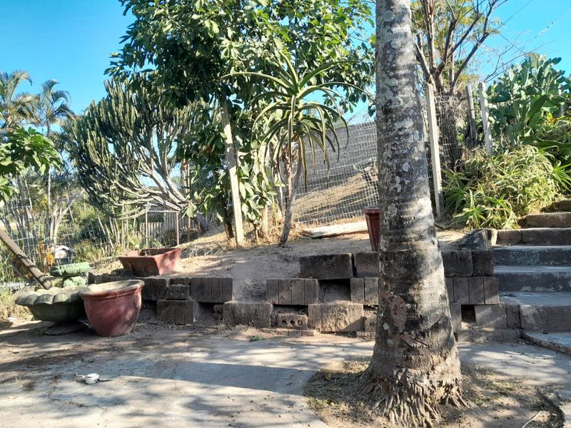 A sloped garden area featuring a tiered retaining wall, concrete steps, and established trees and shrubs enclosed by wire mesh fencing.