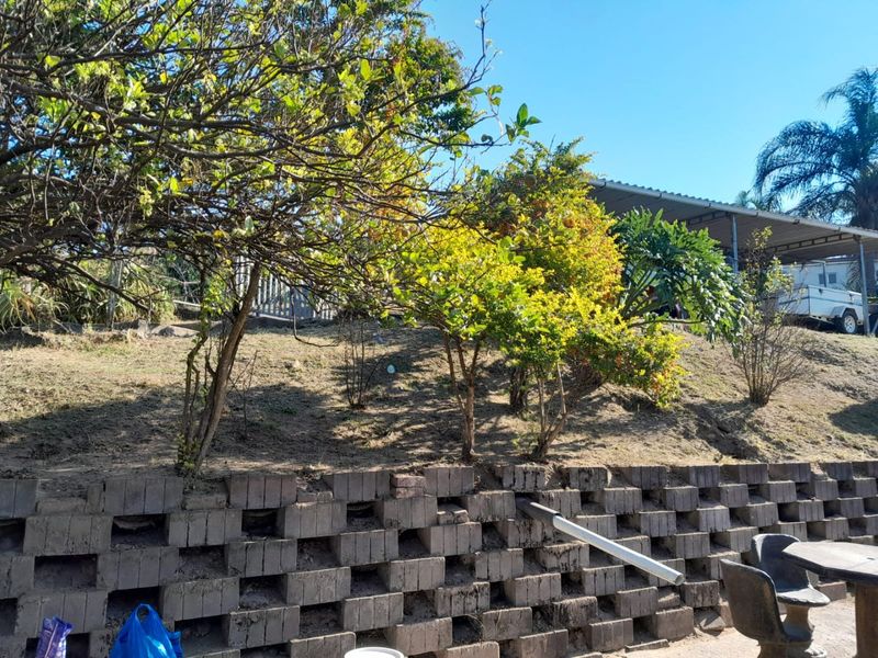 A sloped garden area featuring a concrete block retaining wall and mature trees, requiring landscaping maintenance to improve the overall aesthetic.