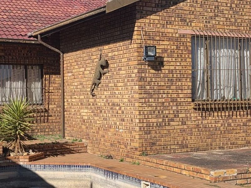 Rear exterior view of a face brick house featuring a swimming pool with paved surround, security bars on windows, and a tiled roof.