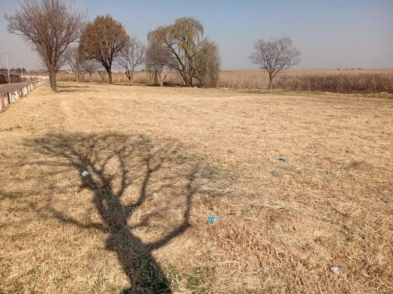 A view of a vacant residential plot featuring dry grass and mature trees, offering a blank canvas for future development.