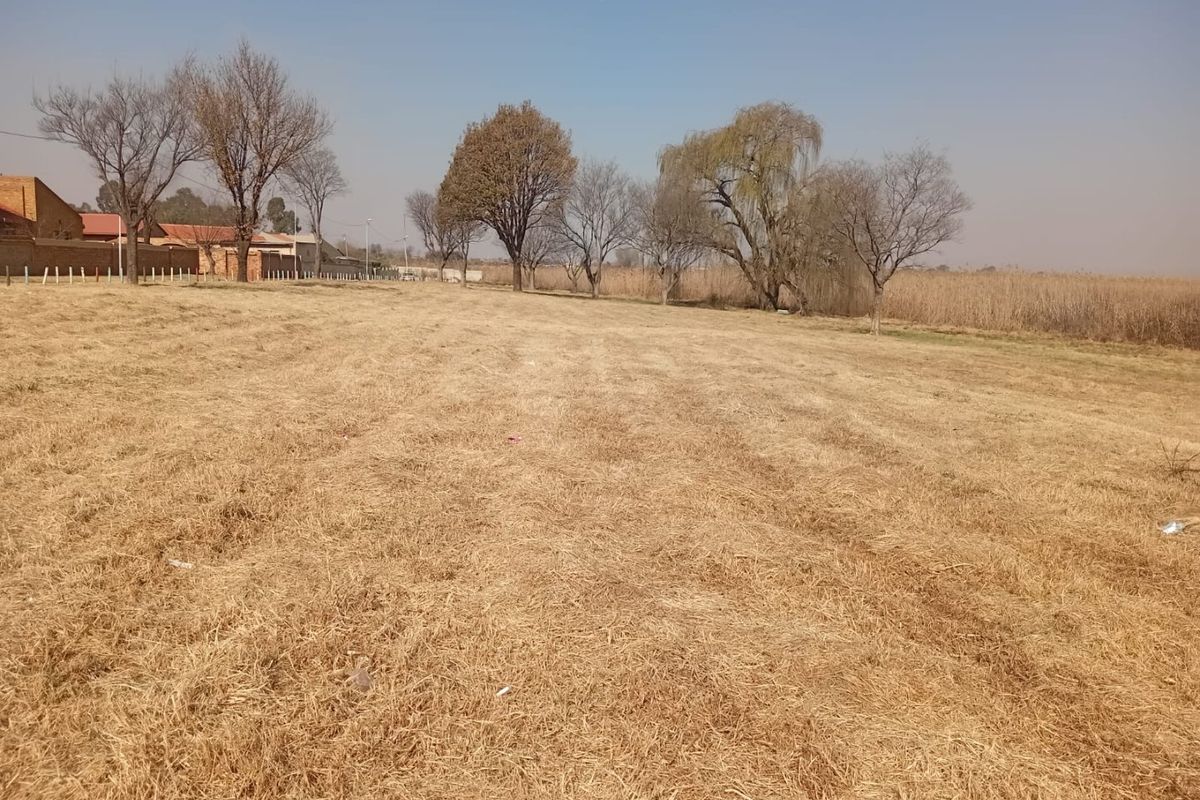 A wide, open residential plot featuring dry grassland and mature trees, offering a blank canvas for future development.