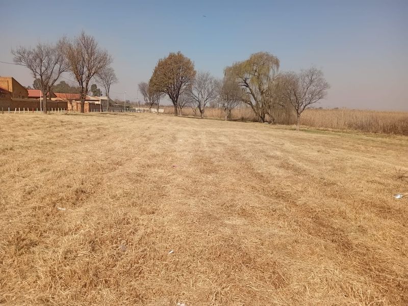 A wide, open residential plot featuring dry grassland and mature trees, offering a blank canvas for future development.