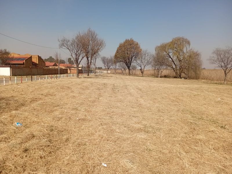 A view of a vacant residential plot featuring dry grass, mature trees, and a boundary wall along the perimeter.