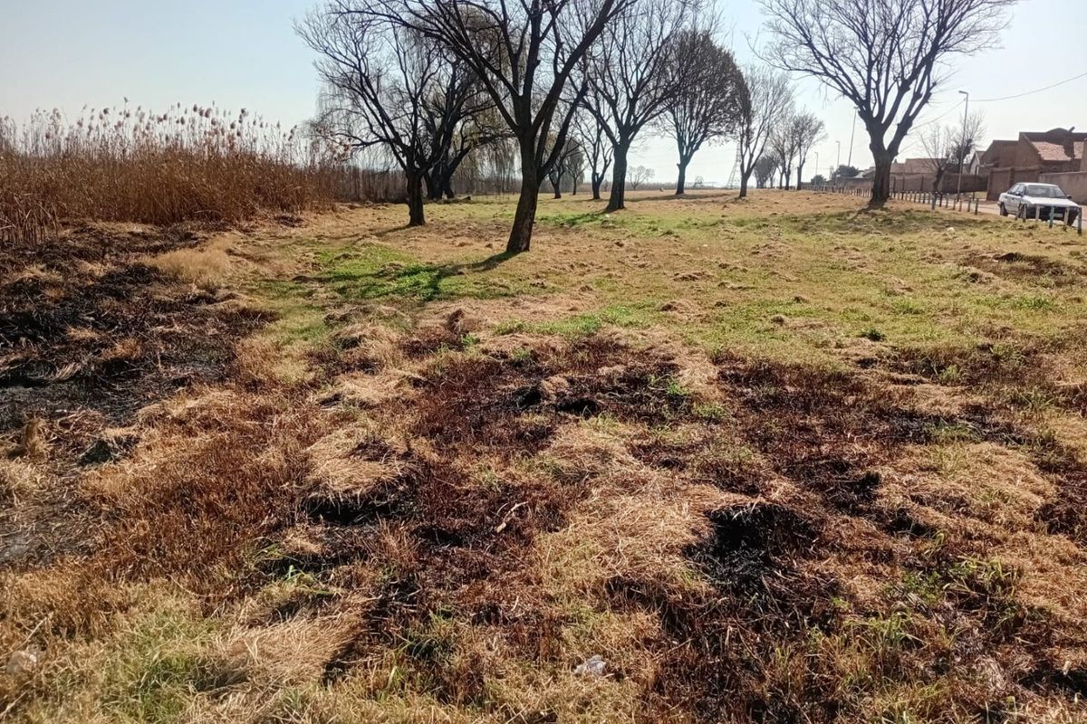 A vacant residential plot featuring mature trees and open grassland, showing signs of recent fire damage to the vegetation.