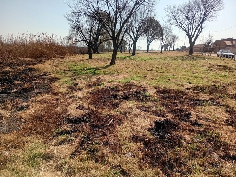 A vacant residential plot featuring mature trees and open grassland, showing signs of recent fire damage to the vegetation.