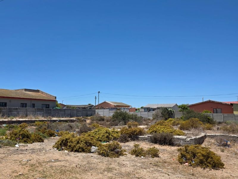 A vacant residential plot featuring a concrete boundary wall and curb, currently covered in natural vegetation and debris.