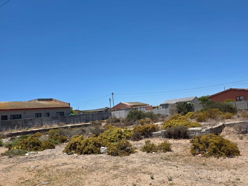 A vacant residential plot featuring a concrete boundary wall and natural vegetation, situated along a paved street.