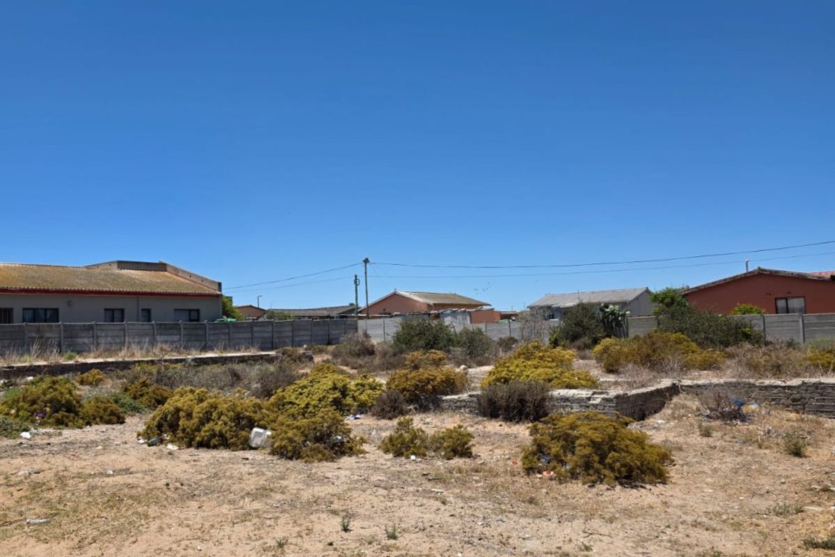 A vacant residential plot featuring sandy terrain, scattered low-lying vegetation, and a concrete boundary wall, viewed from the street level.