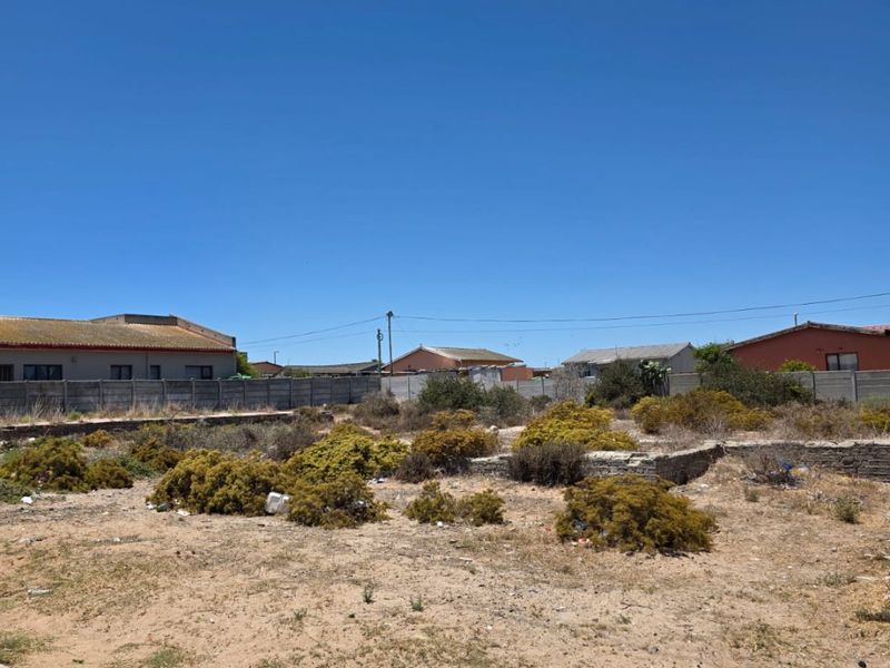 A vacant residential plot featuring sandy terrain, scattered low-lying vegetation, and a concrete boundary wall, viewed from the street level.