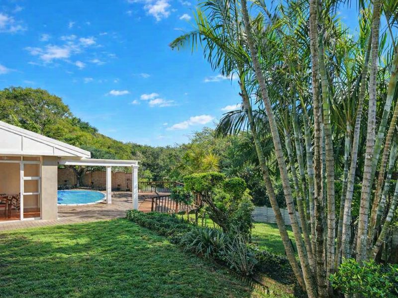 Rear exterior view featuring a swimming pool, covered patio area, and a well-maintained garden with mature palm trees.