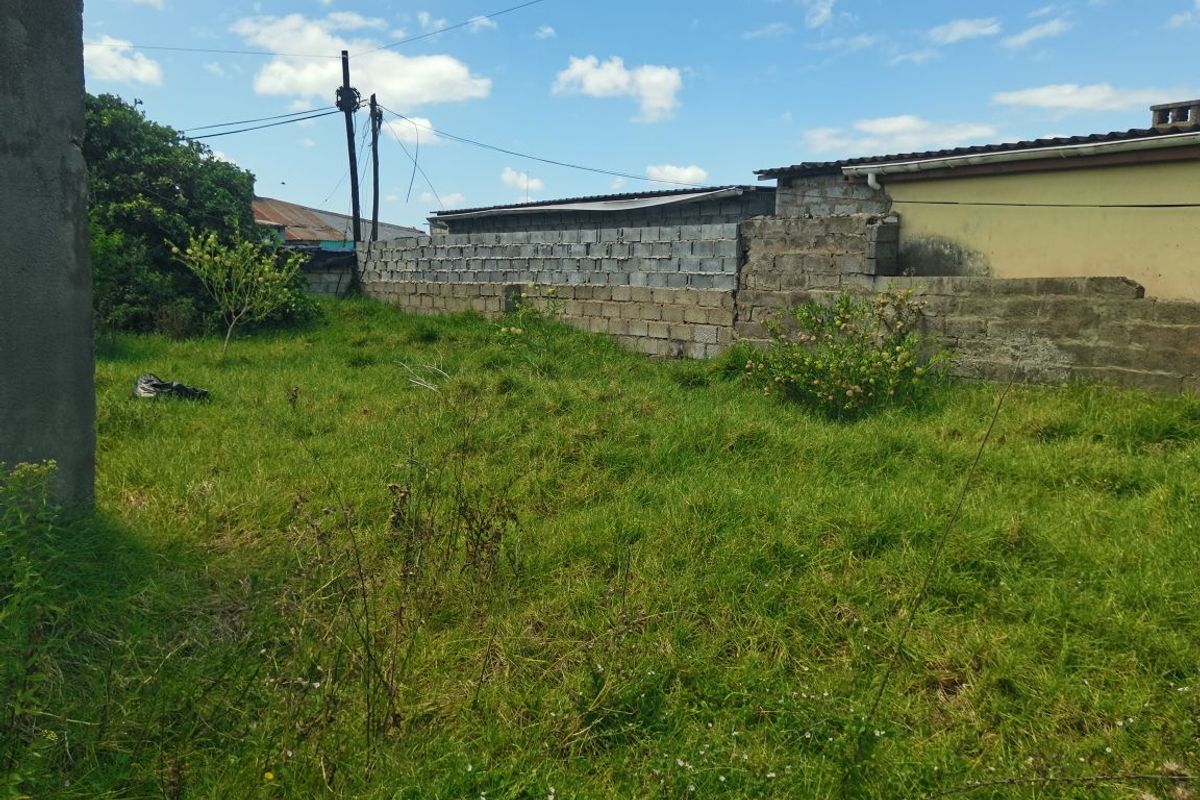 A rear yard area featuring an unfinished concrete block boundary wall and an overgrown grass lawn.