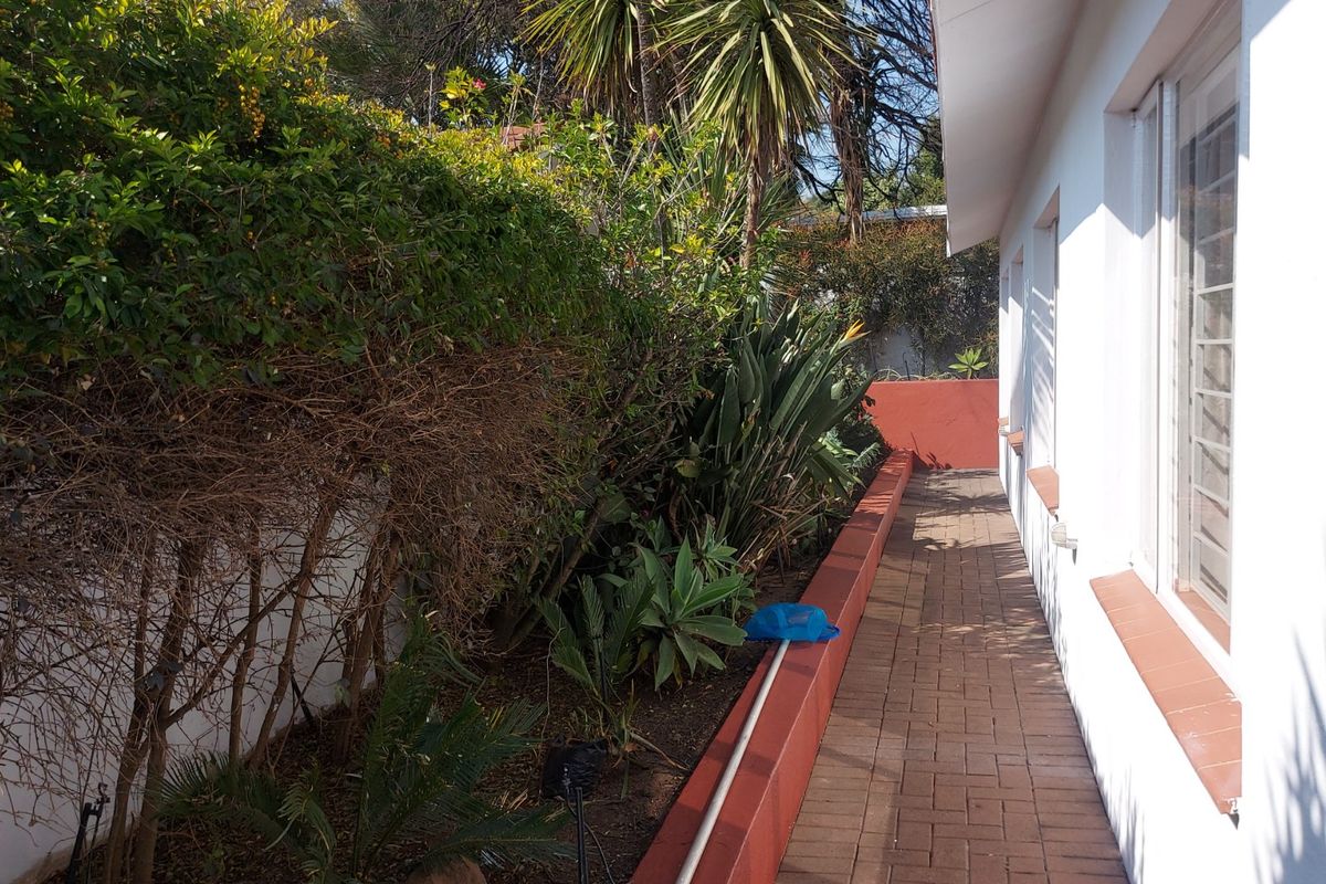 A paved side walkway along the exterior of the house, featuring a low retaining wall and established garden landscaping.
