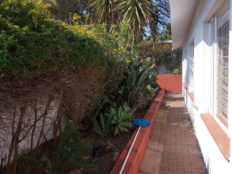 3 Bedroom Newly Refreshed Partially Furnished Family Home - Photo 8